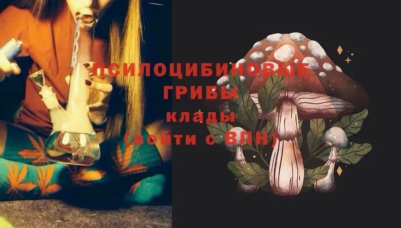 даркнет сайт  гидра   Псилоцибиновые грибы Magic Shrooms  Луза 